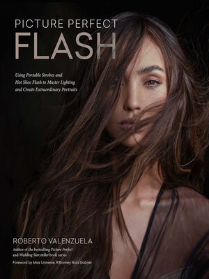 cover image of Picture Perfect Flash